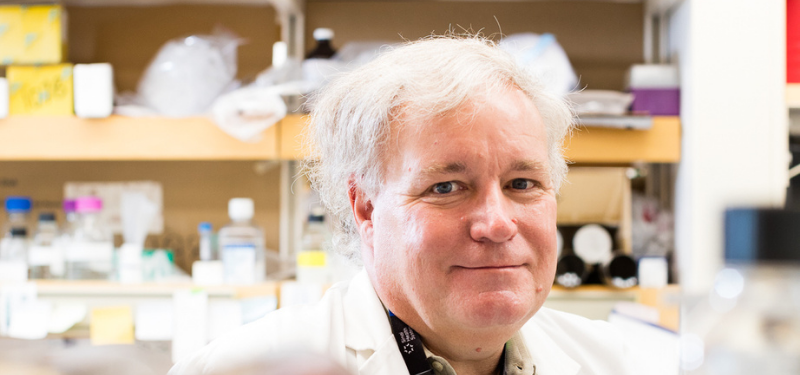 Sinai Health receives $5 million for research into Hippo pathway
